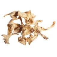 Girolle Mushrooms, Dried