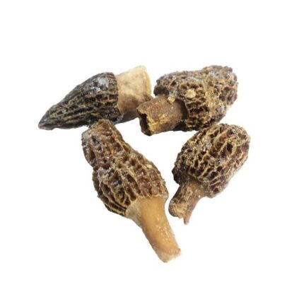 Morel Mushrooms, Frozen, (2-7cm), 1kg