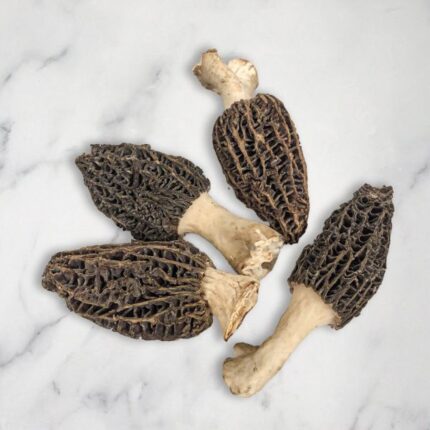 Morel Mushrooms, Fresh