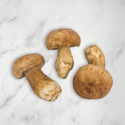 Porcini Mushrooms, Fresh