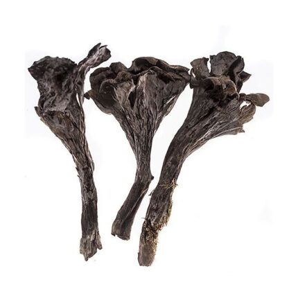 Trompette de la Mort, Dried