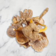 Yellow Leg Chanterelles, Fresh