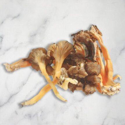 Yellow Leg Chanterelles, Fresh